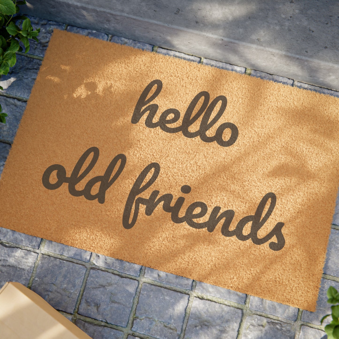 Hello Old Friends Doormat